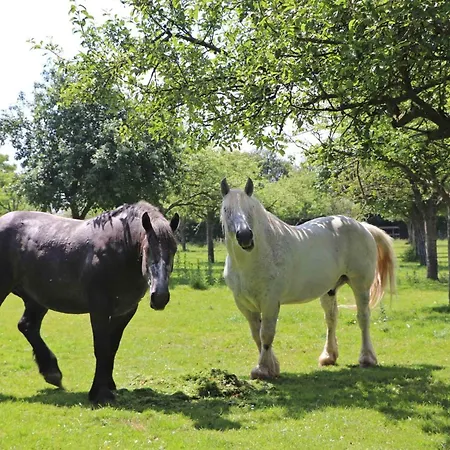 Maison De Charme A Monnai, Animaux Acceptes, Jardin Et Terrasse - Fr-1-497-214 La Ferte-en-Ouche