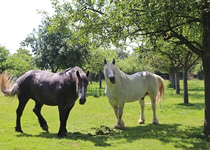 Maison De Charme A Monnai, Animaux Acceptes, Jardin Et Terrasse - Fr-1-497-214 La Ferte-en-Ouche